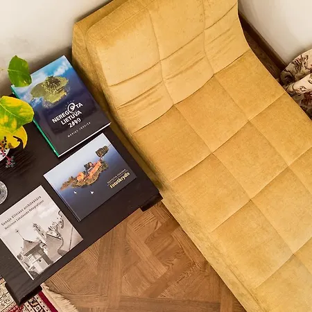 Mikalojaus Apartamentai דירה וילנה
